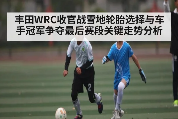 丰田WRC收官战雪地轮胎选择与车手冠军争夺最后赛段关键走势分析